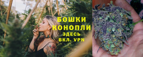 мет Белокуриха